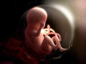 How Placental Injuries Lead to Birth Injuries