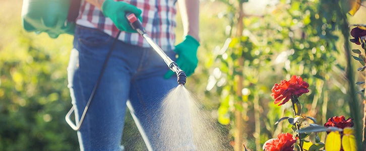 Memphis Roundup Cancer Claims Lawyer