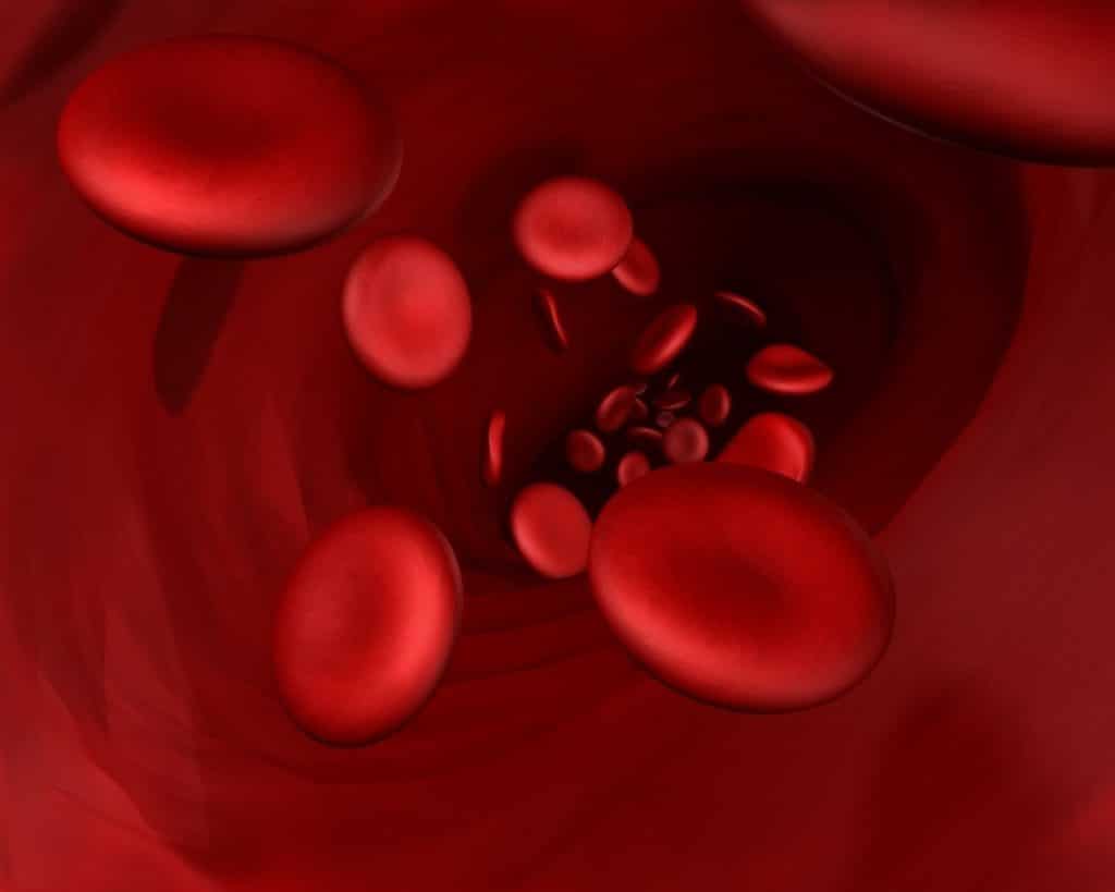 Internal Bleeding: The Hidden Dangers and Long-Term Consequences